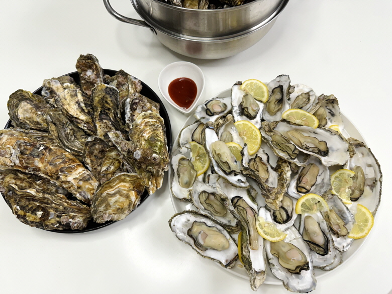 산지직송 제철 석화 각굴 석굴 굴 석화찜 세척 5kg 10kg - 상세 이미지 5