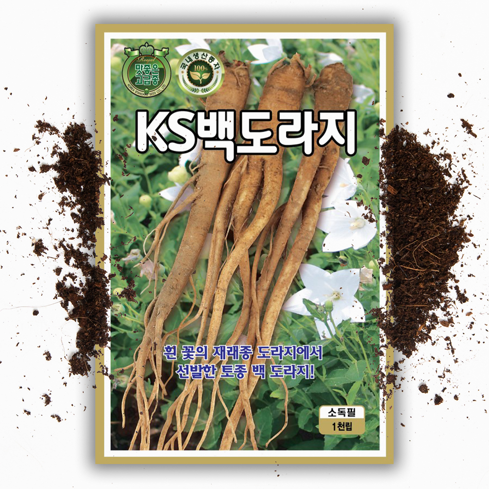 백도라지 씨앗 1000립 국내생산 도라지 씨 종자