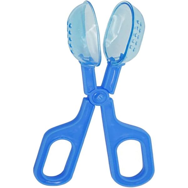 1PCS 파충류 먹이주기 파란색 청소 도구 스쿠퍼 양서류 테라리움 거미 귀뚜라미 클램프 쓰레기 : 월드마켓a