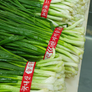 전라도 파김치 1kg 국내산 농산물 100% 맛있게 먹은 솔직 후기 - 상품 이미지 4