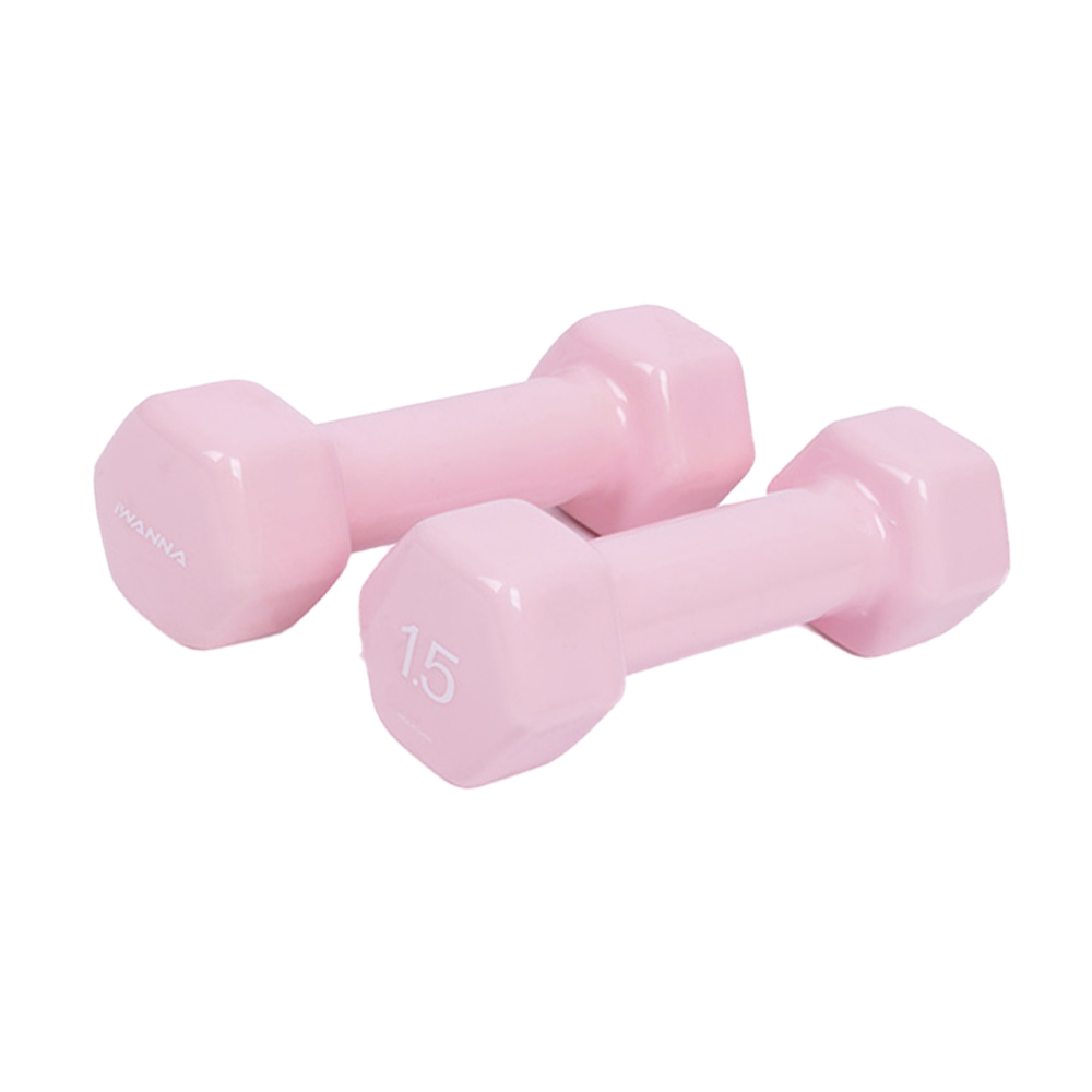아이워너 육각덤벨 1.5kg 홈트 헬스 트레이닝 아령 2개 - 상품 이미지