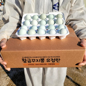 난각번호 1번 청계란 꾸지뽕 먹고자란 자유방사 청계 유정란 프리미엄 청란... 맛있게 먹은 솔직 후기 - 상품 이미지 2
