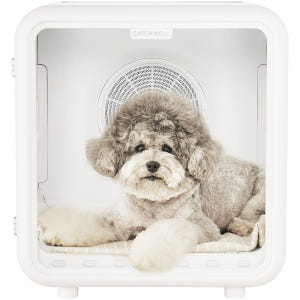 캐치웰 펫드라이룸 강아지 고양이 드라이기 반려동물 애견 털 건조기 솔직 후기 | 실제 사용자 리뷰 총정리 - 상품 이미지 2