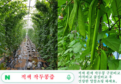 thumbnail-8