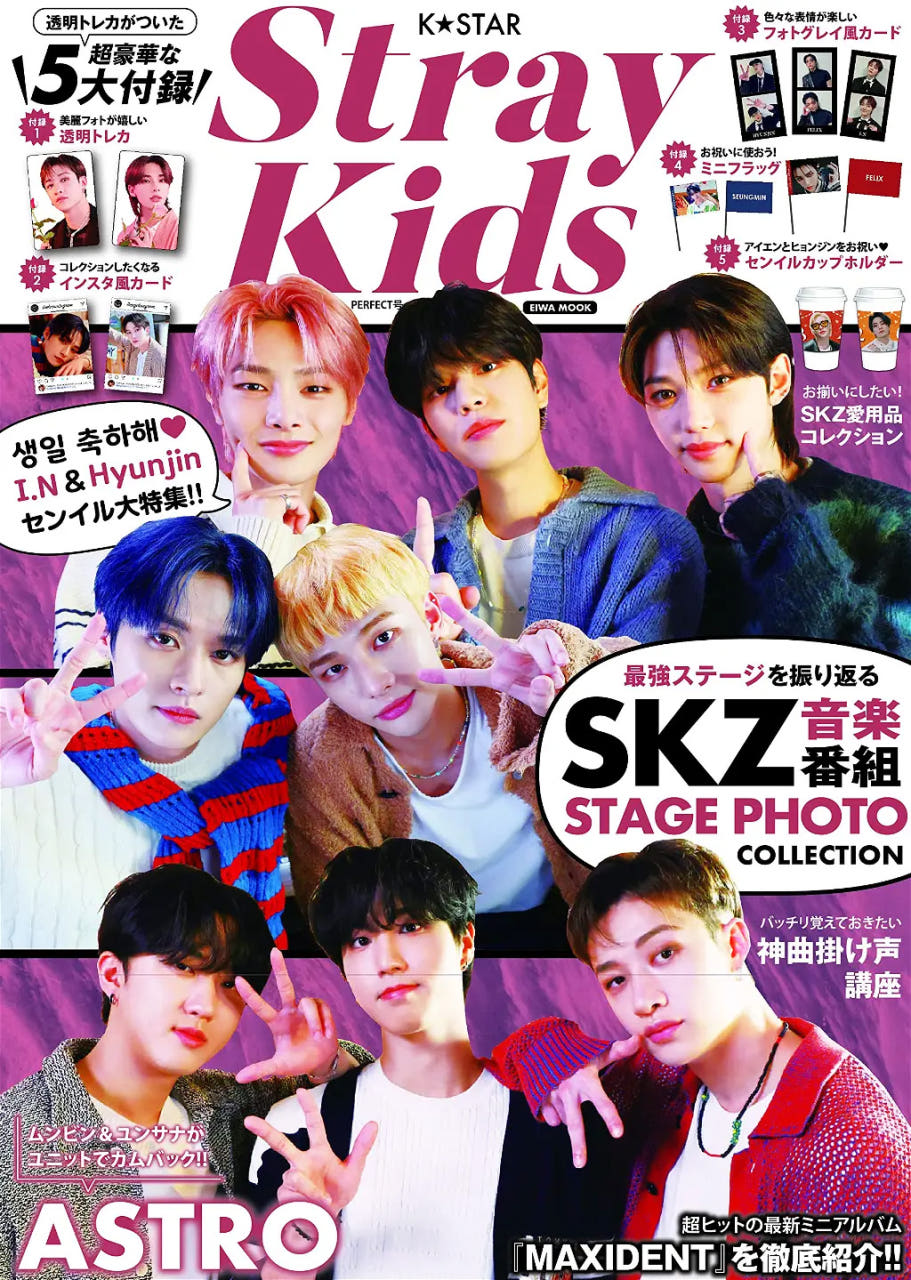 K STAR 스트레이키즈 StrayKids Perfect 일본 잡지 제품 이미지