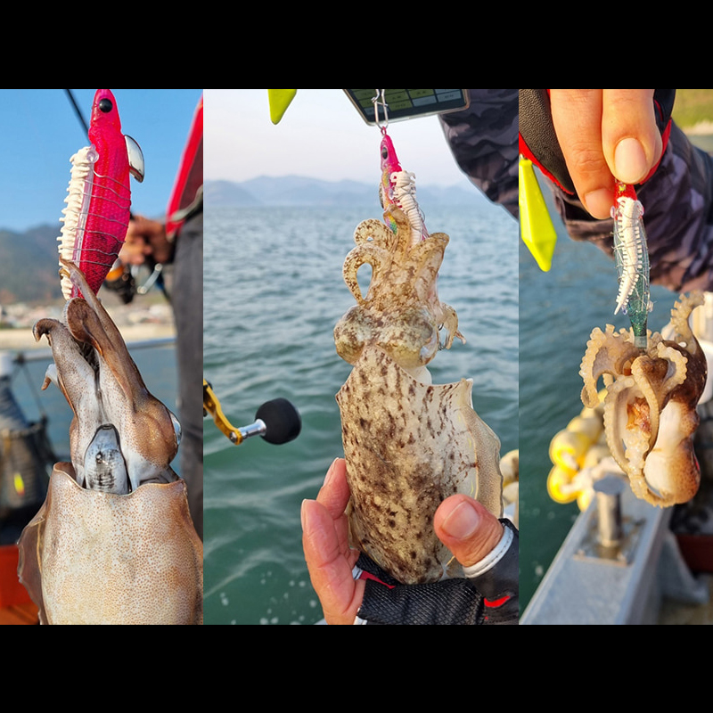 백경 SG-510 UV 케이무라 야광 발광 미니 포세이돈 2.5호 삼봉에기 한치 쭈꾸미