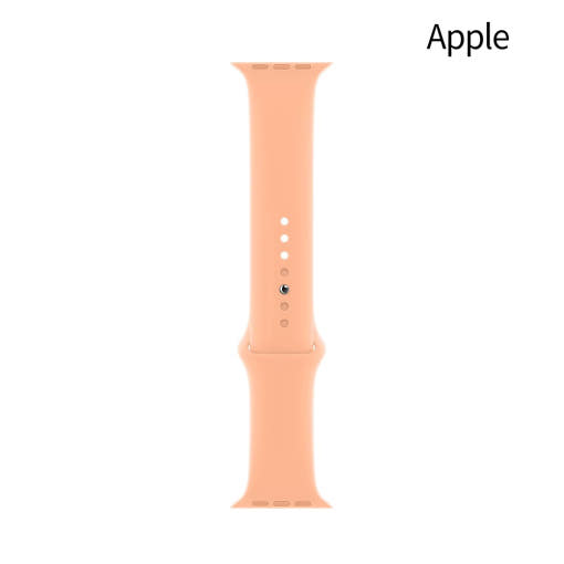 [애플워치 캔털루프 나일론 다양한 색상]