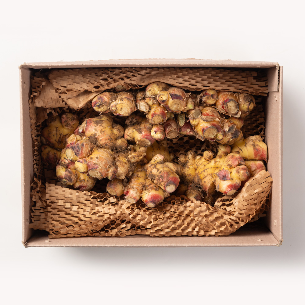 국산 생강 경북 깐생강 세척 제철 1kg