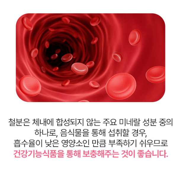 철분ni 헤모에너지 식물성비헴철 변비없는철분제 헤모글로빈 비햄철 약3개월분 이미지 6