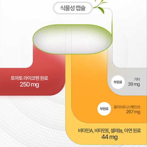 네이처맥스 라이코펜 60캡슐 3박스 6개월 토마추 추물물 비타민 A E 셀렌 아연 리코펜 이미지 6