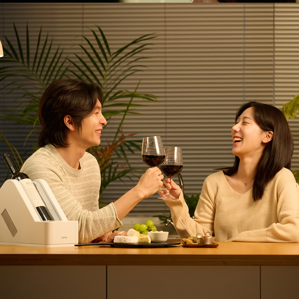 보토 VWC-DM01 와인쿨러 2025년형 레드 화이트 샴페인 아이스버킷 칠링백 와인칠러 상세 이미지 3