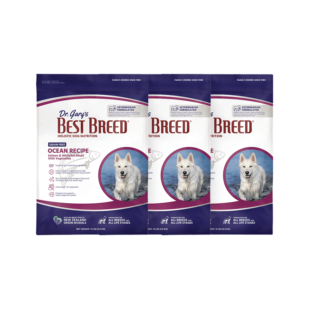 강아지대용량사료 베스트브리드 오션 그레인프리 연어, 5.9kg, 3개