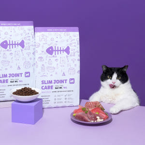 본아페티 고양이 사료 관절 다이어트 건식 체중조절 기능성 참치+오리, 1... 솔직 후기 | 실제 사용자 리뷰 총정리 - 상품 이미지 1