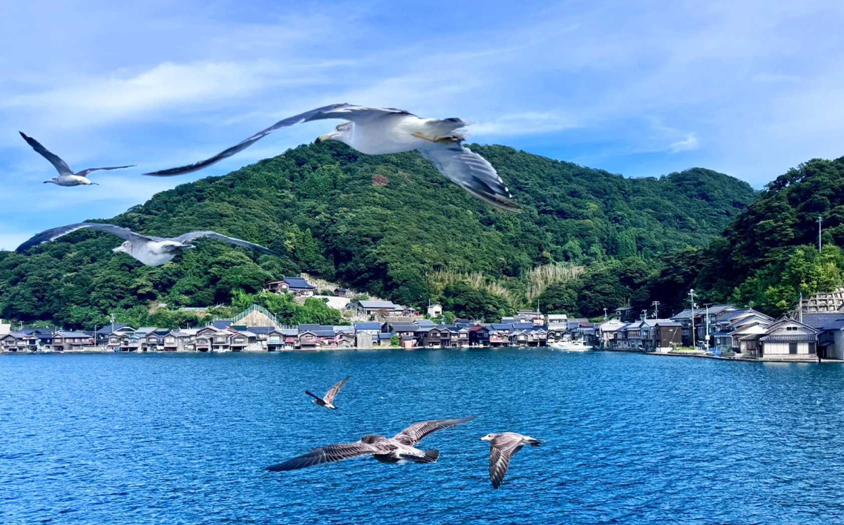 일본 교토 아마노하시다테 & 이네 후나야 일일 투어 (오사카/교토 출발) [한국어 가이드] - 상세 이미지 3