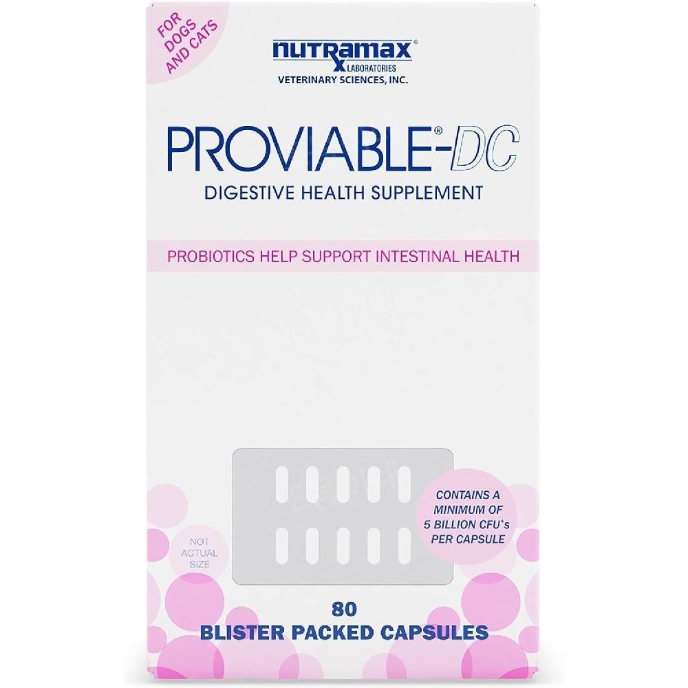 뉴트라맥스 프로바이어블 Proviable DC 80캡슐 - 상품 이미지