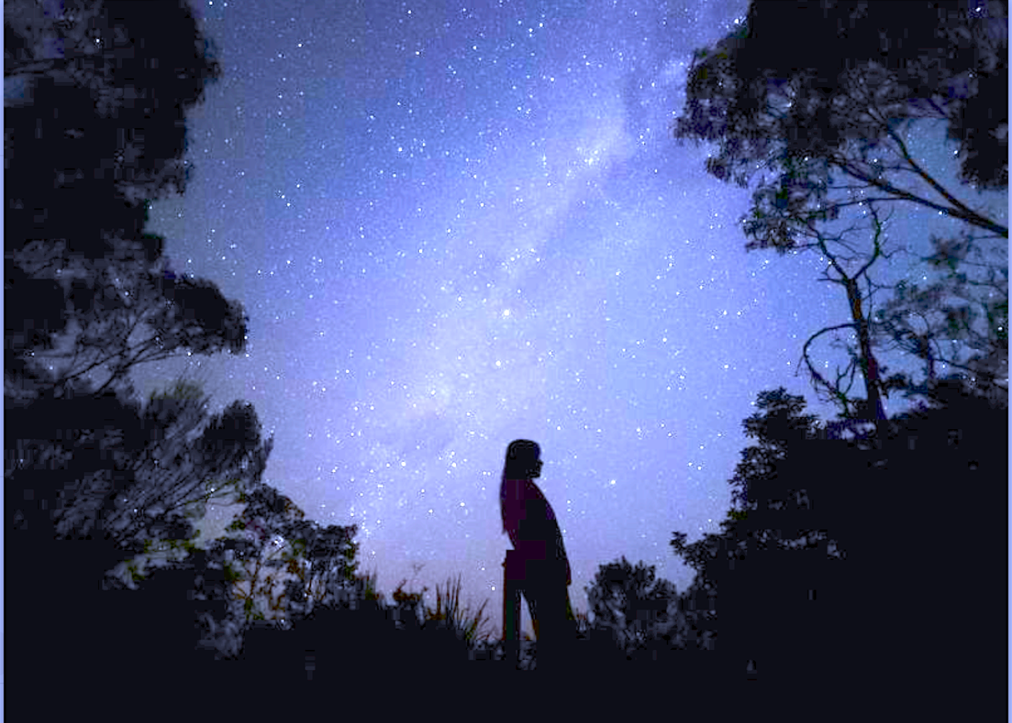 호주 시드니 페더데일 동물원 & 블루마운틴 선셋+별밤 투어 - 외국인을 위한 쉬운 영어 (ESL)/한국어 진행