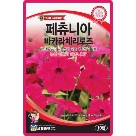 세계종묘 페츄니아 바카라 체리로즈 씨앗 10립 페츄니아 꽃씨 종자