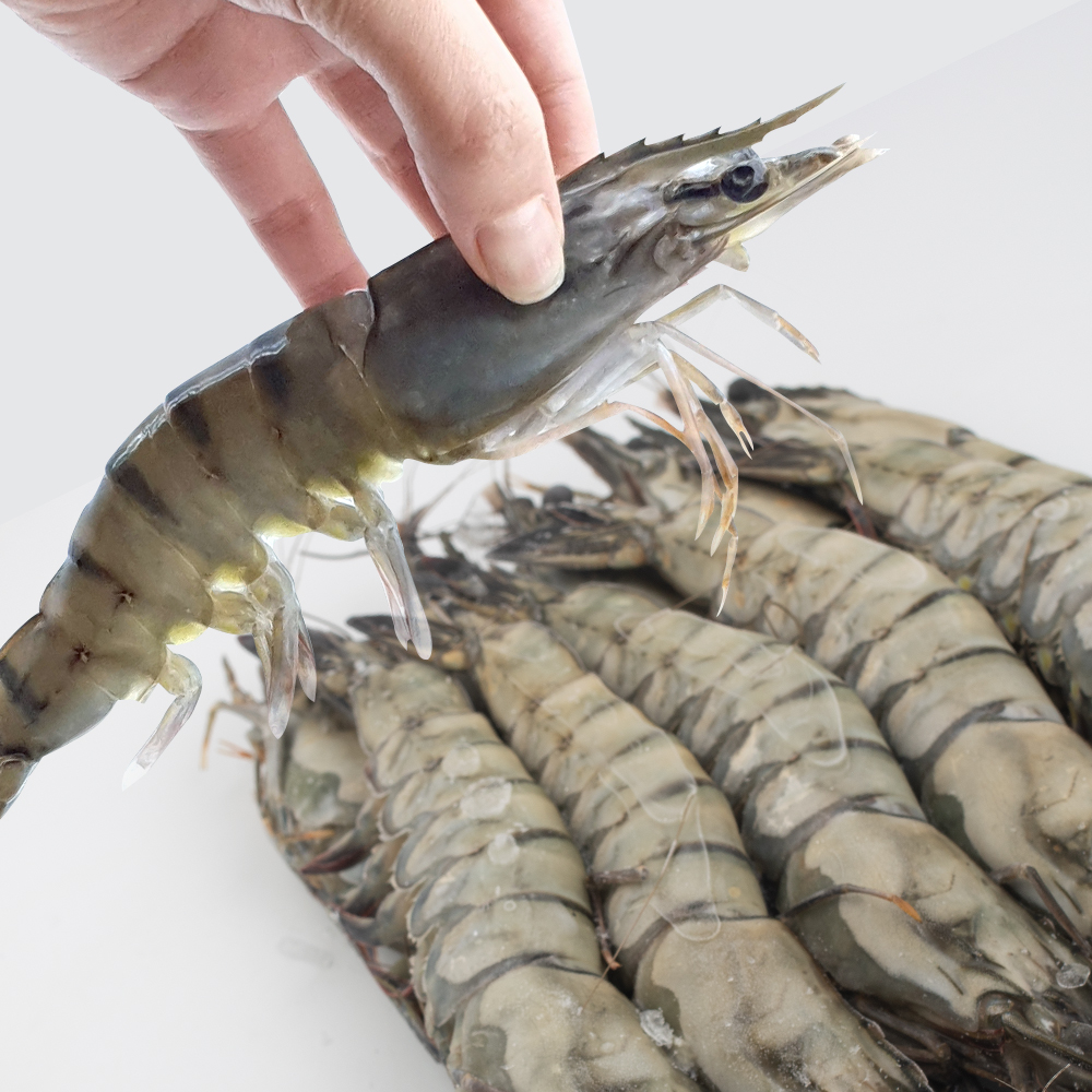 블랙타이거 새우 10미 500g 대하새우 중하 소금구이