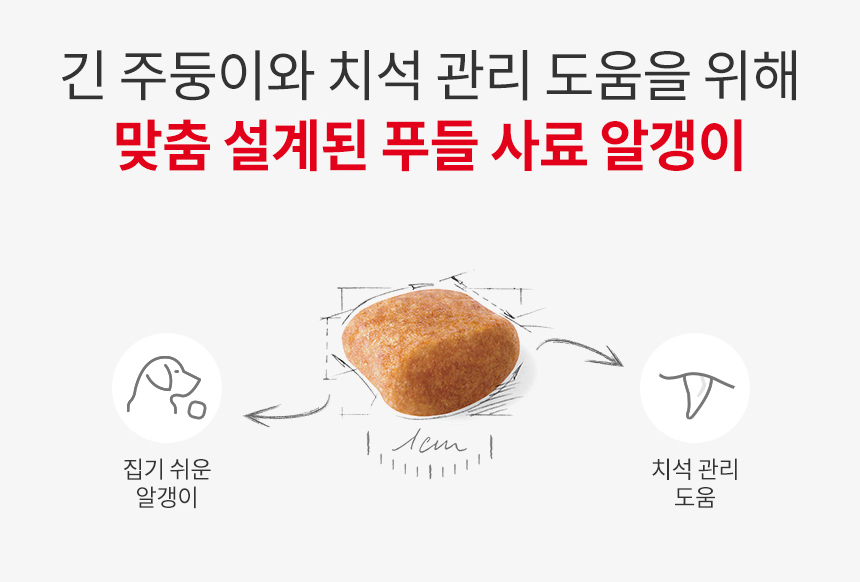 로얄캐닌 독 푸들 어덜트, 500g, 1개 이미지 8