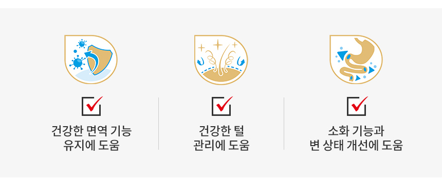 로얄캐닌 독 푸들 퍼피, 1.5kg, 1개 - 상세 이미지 4