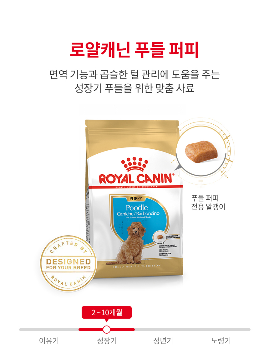로얄캐닌 독 푸들 퍼피, 1.5kg, 1개 - 상세 이미지 3