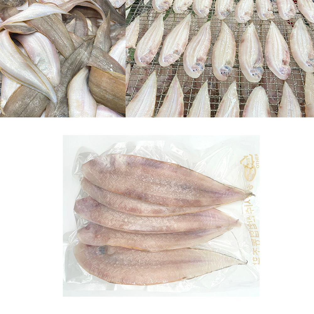 고소한 반건조 박대 담백 쫄깃한 가자미목 캠핑 생선구이