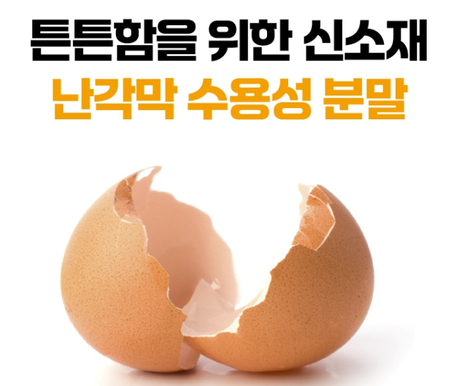 난각막 프라임 참신한 효능 난각막가수분해물 비타민 60정 - 상세 이미지 2