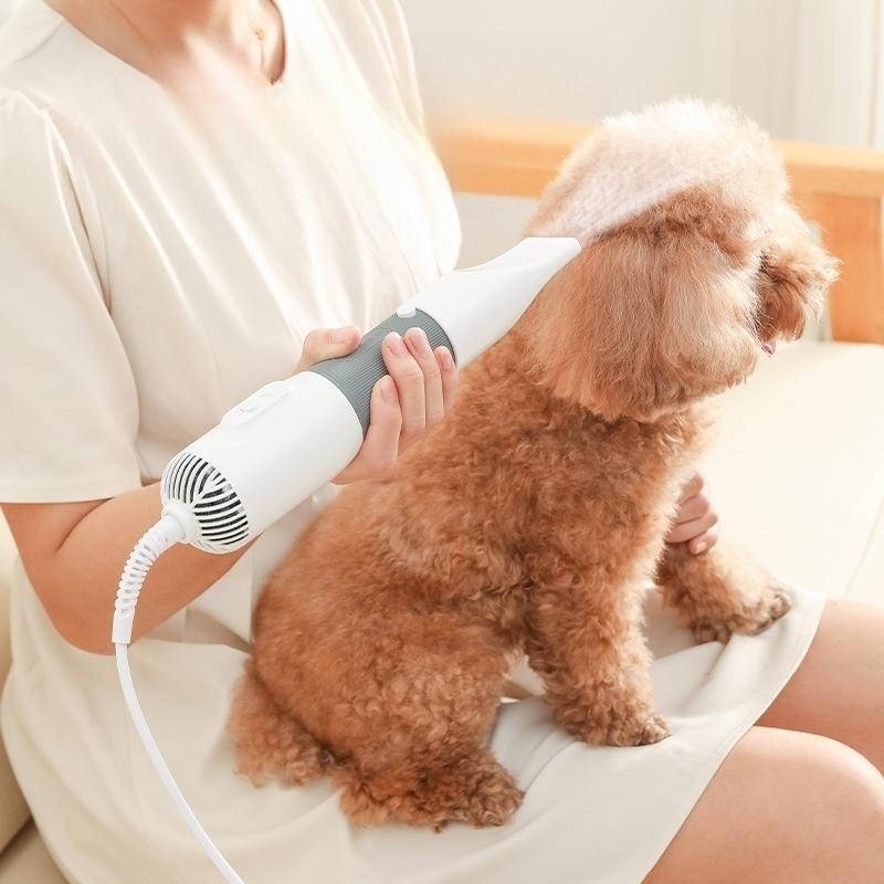 올인원 반려동물 그루밍 드라이어빗 윤기나는 털관리 강아지 고양이 겸용 펫 드라이기 - 메인 이미지