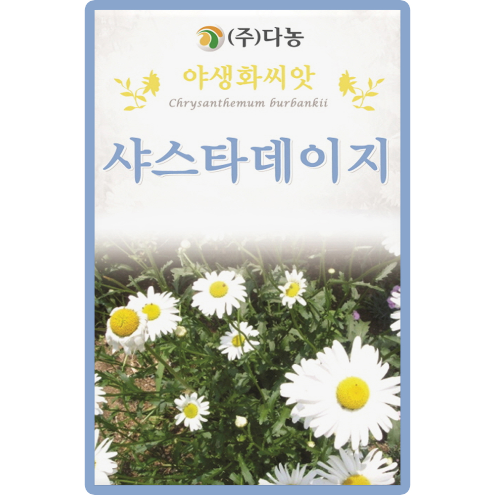다농 샤스타데이지 씨앗 1g 데이지 꽃씨 야생화 종자 : 양동씨앗마켓