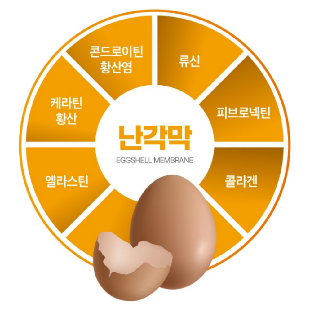난각막가수분해물 난각막플러스 관절 피부건강 600mg 60정 2개월분 - 상세 이미지 3
