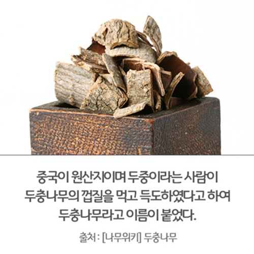 엄마애손 두충 나무 진액 즙 100% 100ml 60포 2박스 국내산 추출액 한방 약초 - 상세 이미지 3
