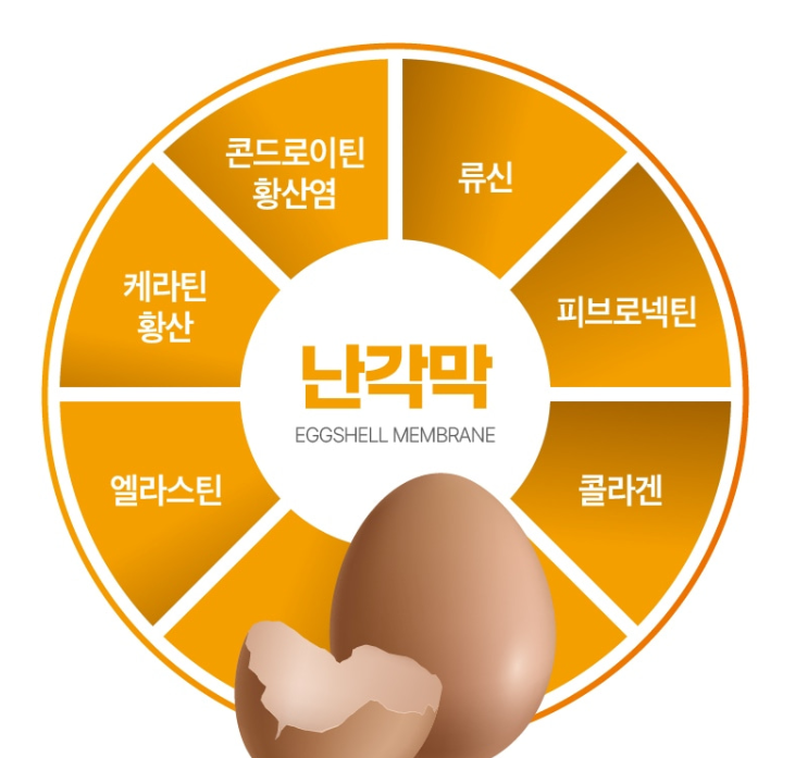 난각막 프라임 참신한 효능 난각막가수분해물 비타민 60정 - 상세 이미지 4