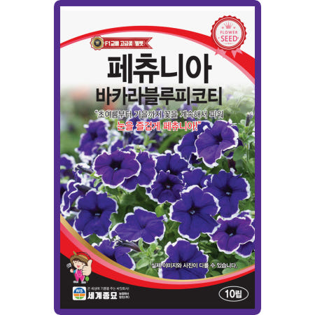 세계종묘 페츄니아 바카라 블루피코티 씨앗 10립 페츄니아 꽃씨 종자
