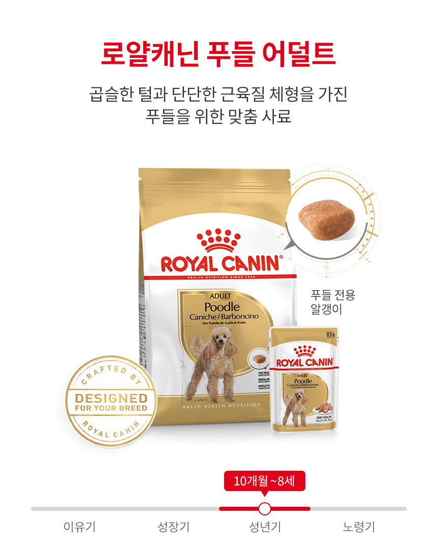 로얄캐닌 독 푸들 어덜트, 500g, 1개 - 상세 이미지 3