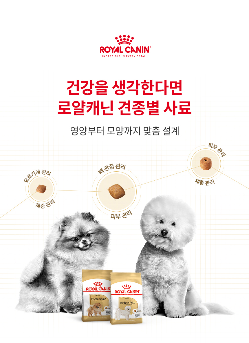 로얄캐닌 독 푸들 어덜트, 500g, 1개 - 상세 이미지 2