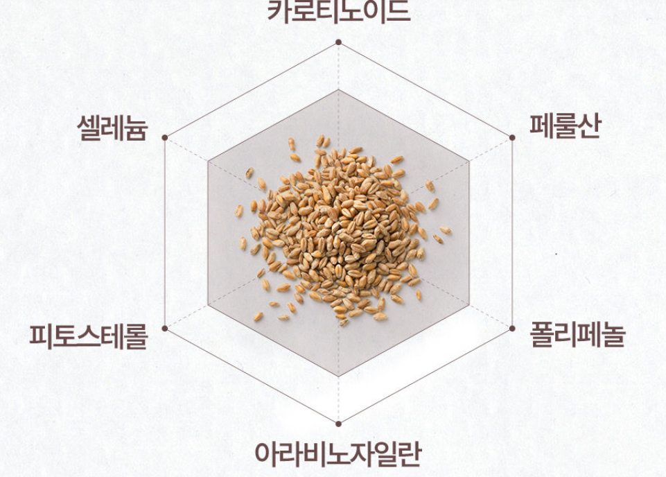 엠머밀파로효소 파로곡물효소정 용기형 파루 파라 60정 - 상세 이미지 5