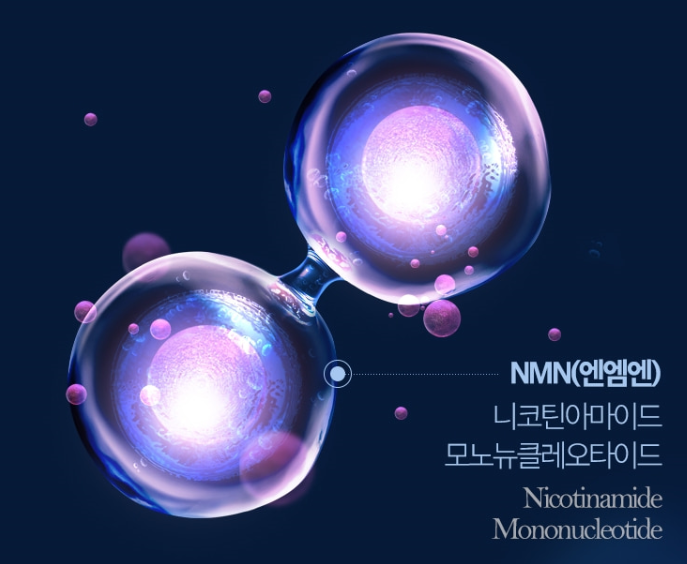 nmn롱라스팅 mnm 엠엔엔 식물성nmn 엠엔엔 스틱 베타인분말 60정 - 상세 이미지 4