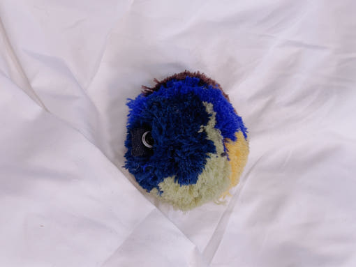 thumbnail-1