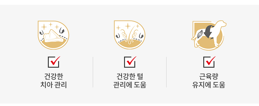 로얄캐닌 독 푸들 어덜트, 500g, 1개 - 상세 이미지 4