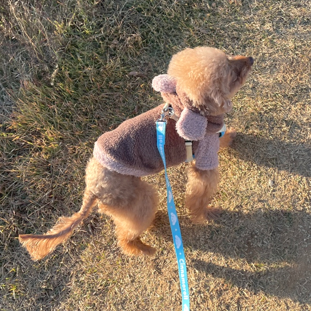 귀여운 강아지 하네스+리드줄 산책 세트 소형견 편안한 반려견 몸통 가슴줄 산리오 시나모롤