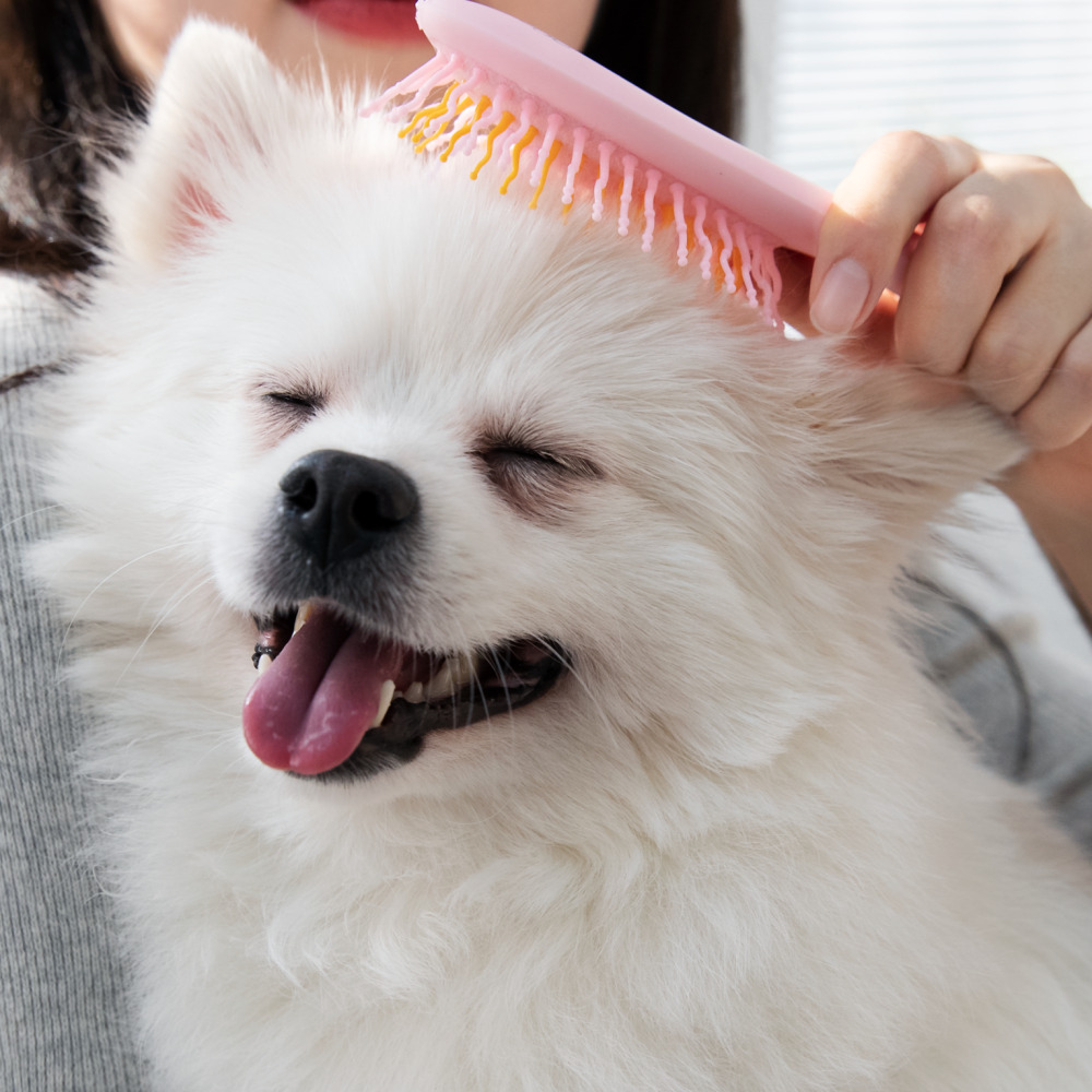 아이캔디 레인보우 브러쉬 for PET 펫브러쉬 강아지 애견빗 (사이즈-미니)