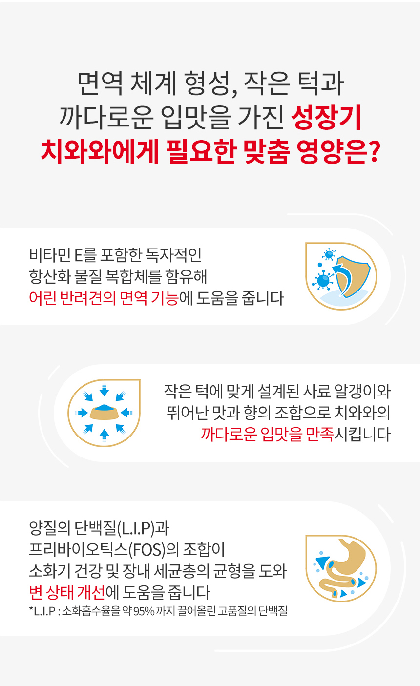 [유통기한 2026.04.29] 로얄캐닌 독 치와와 퍼피, 500g, 1개