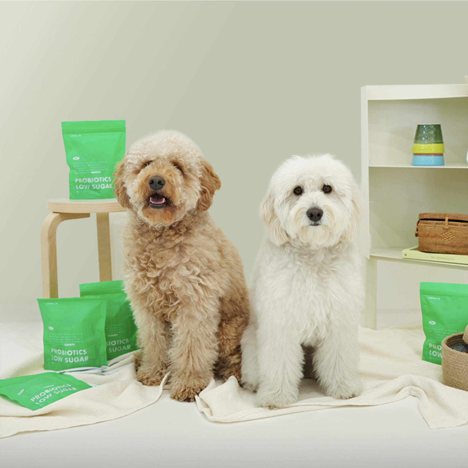 요로캣 펫전용 혈당관리 유산균 30개입 강아지영양제 당뇨 강아지유산균 - 상세 이미지 5