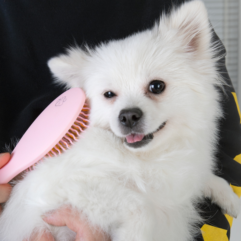 아이캔디 레인보우 브러쉬 for PET 펫브러쉬 강아지 애견빗 (사이즈-미니)