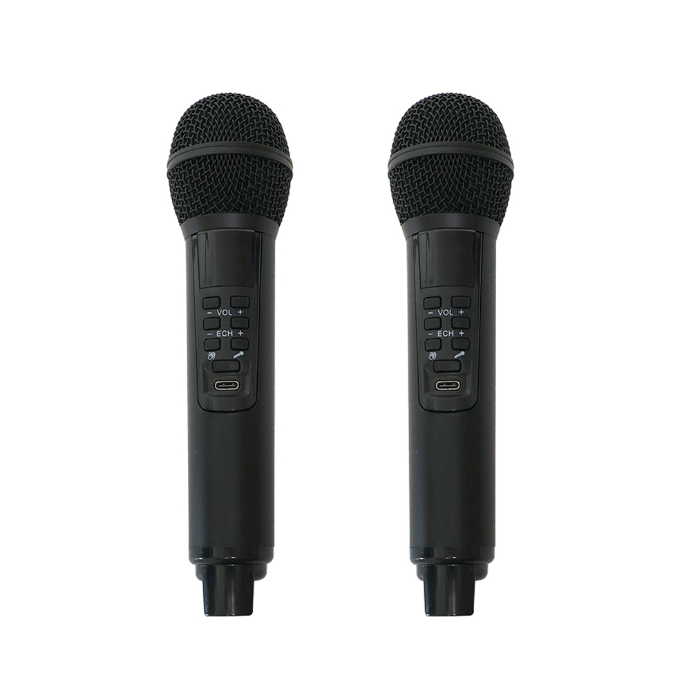 블루라인 가정용 무선 블루투스 노래방기계 세트 휴대용 미니 노래반주기 이미지 6