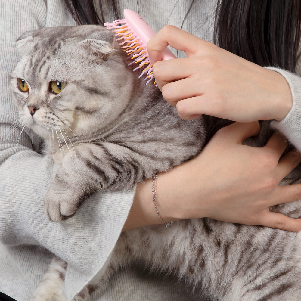 아이캔디 레인보우 브러쉬 for PET 펫브러쉬 강아지 애견빗 (사이즈-미니)