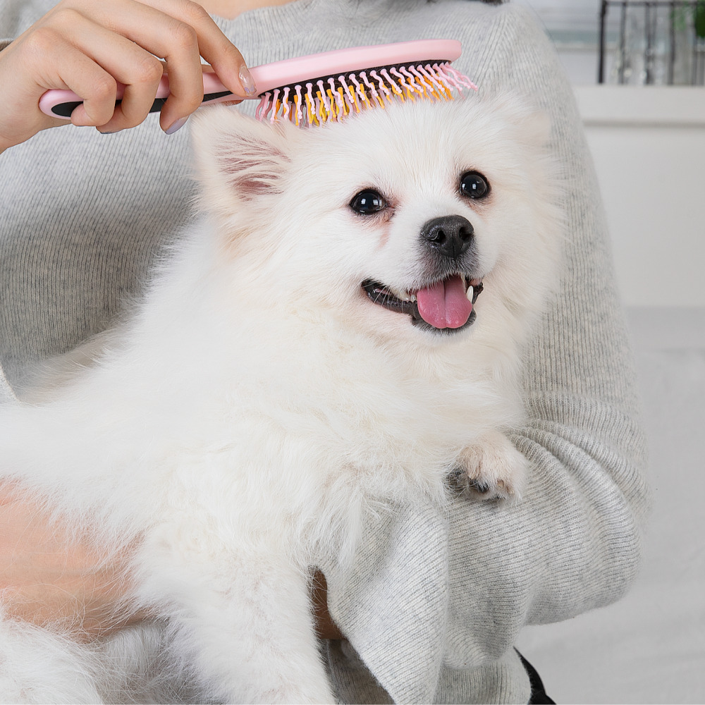 아이캔디 레인보우 브러쉬 for PET 펫브러쉬 강아지 애견빗 (사이즈-미니)