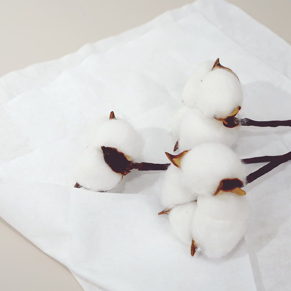 순면 여드름 여행용 멸균 건티슈 수건한번 더큰 (100매) 60g, 화이트, 100장