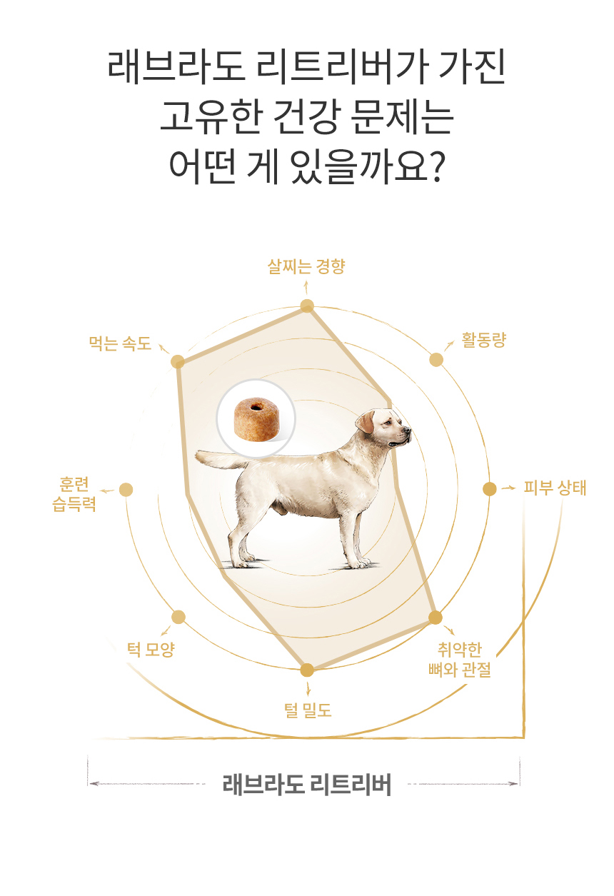 로얄캐닌 독 라브라도 리트리버 퍼피, 3kg, 1개 이미지 6