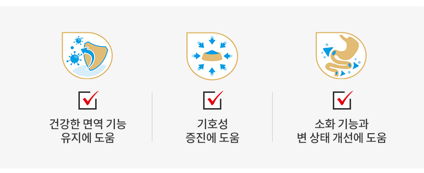 [유통기한 2026.04.29] 로얄캐닌 독 치와와 퍼피, 500g, 1개